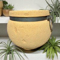 FERRUSTICANO 62 ΜΠΕΖ Δ64(45)ΧΥ53  ΠΛΑΣΤΙΚΗ ΓΛΑΣΤΡΑ