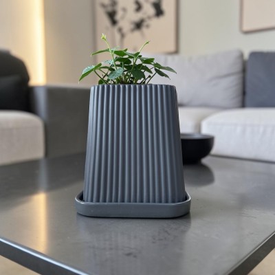 ΙΚΕ PLANTY ΜΕ ΠΙΑΤΟ  Δ12.5 Χ Υ17