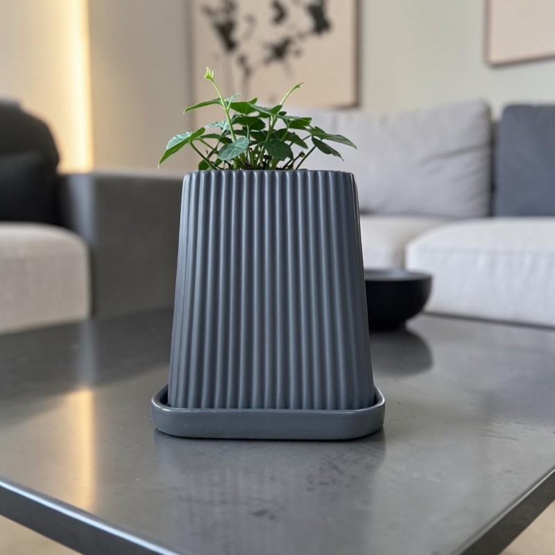 ΙΚΕ PLANTY ΜΕ ΠΙΑΤΟ  Δ12.5 Χ Υ17