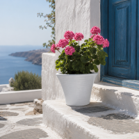 ΧΩΝΙ ΜΙΚΡΟ Δ22 Χ 17Υ ΑΣΠΡΟ-07