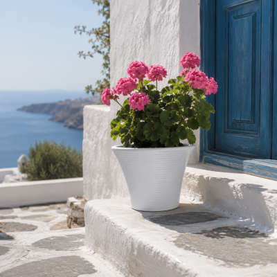 ΧΩΝΙ ΜΙΚΡΟ Δ22 Χ 17Υ ΑΣΠΡΟ-07
